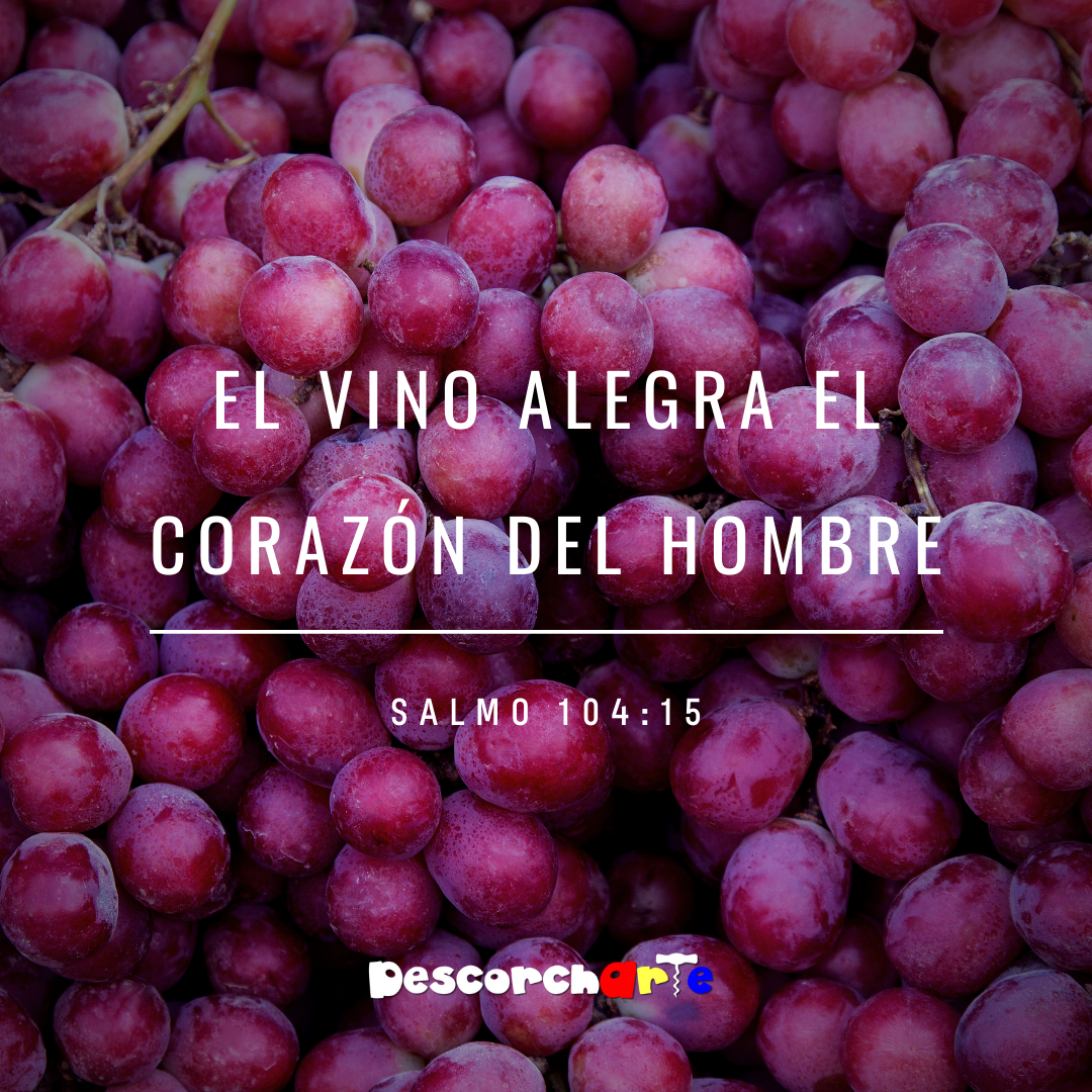 EL VINO ALEGRA EL CORAZÓN DEL HOMBRE (234)